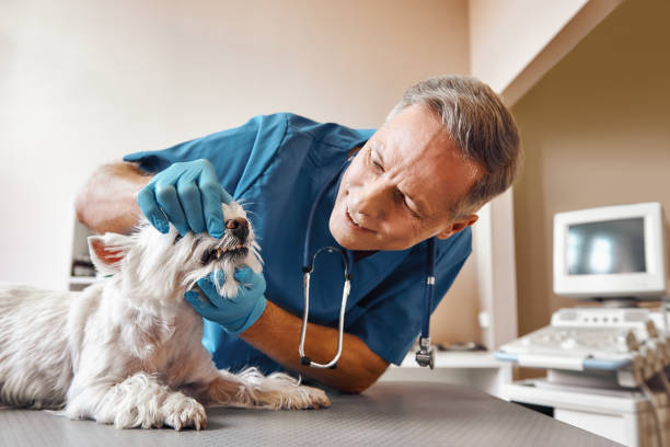 Best Pediatric Emergency Dentist in Tenaha, TX